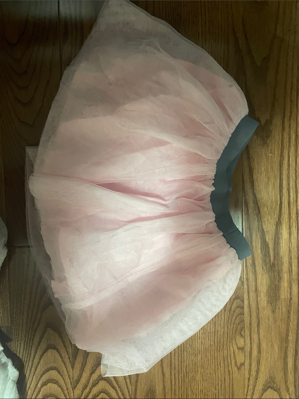 GAP Pink Tulle Skirt with Blue Waistband